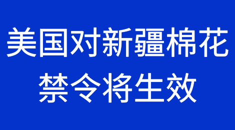 货代须知：美国对新疆棉花禁令6月21日正式生效，可直接扣押货物！