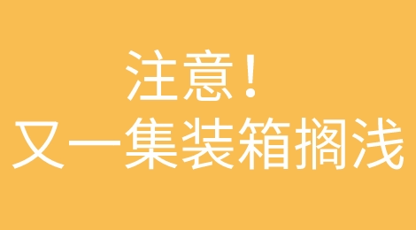 注意！MSC一大型集装箱船苏伊士运河搁浅！曾挂靠国内多个港口