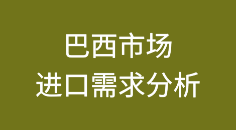 巴西市场进口需求分析